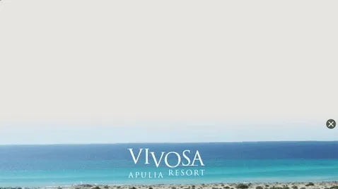 Vivosa — Ribbon Display — Luxury travel