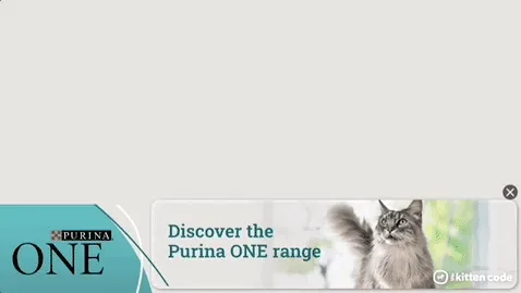 Purina — Ribbon Display — Pet food