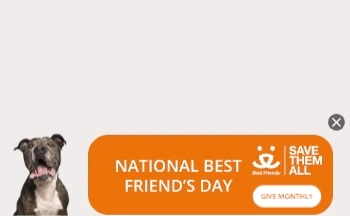 Best Friends — Ribbon Display — Pet adoption & animal shelters