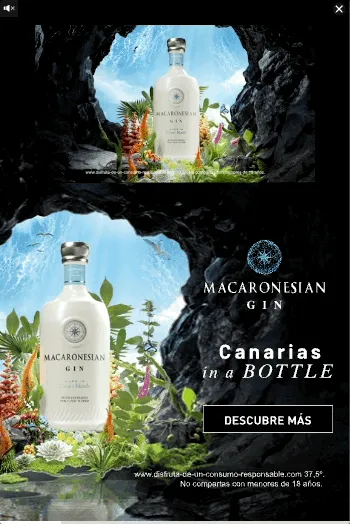 Macaronesian — Motion Video — Beer, wine & spirits
