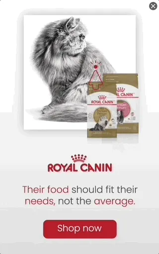 Royal Canin — Gallery Display — Pet food