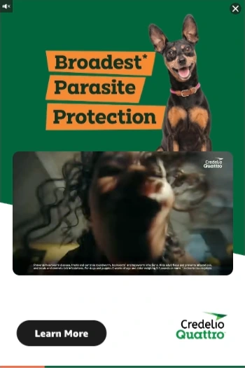 Credelio Quattro — Motion Video — Pet health & veterinary care