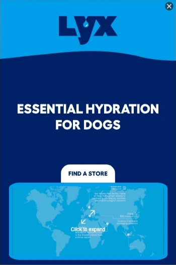 Lyx — Explorable Display — Pet products