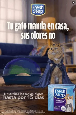Clorox — Motion Display — Cleaning products