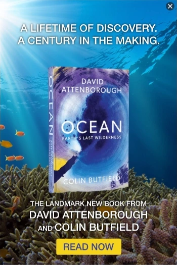 David Attenborough — Motion Display — Books & literature